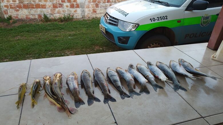 PMA Autua Pescador Por Capturar Pescado Acima Da Cota Permitida E